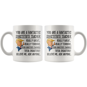 Funny Fantastic Substitute Teacher Coffee Mug, Trump Gifts, Substitute Teacher Birthday Gift, Teacher Christmas Graduation Gift