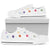 Paw Prints Low Top Shoes White