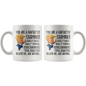 Funny Fantastic Examiner Coffee Mug, Examiner Trump Gifts, Best Examiner Birthday Gift, Examiner Christmas Graduation Gift