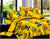 Butterfly 3D Bedding Sets - Queen & King Bed Set 2018 - Freedom Look