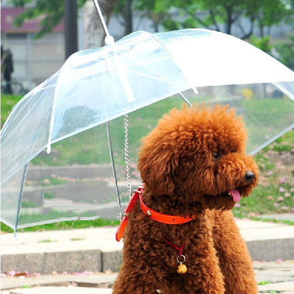 Dog leash clearance with umbrella